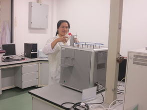 人員隊伍 公共技術(shù)服務(wù)中心