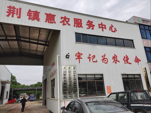 汨羅科技特派員 技術(shù)服務在田間