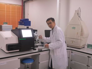 人員隊伍 公共技術(shù)服務中心